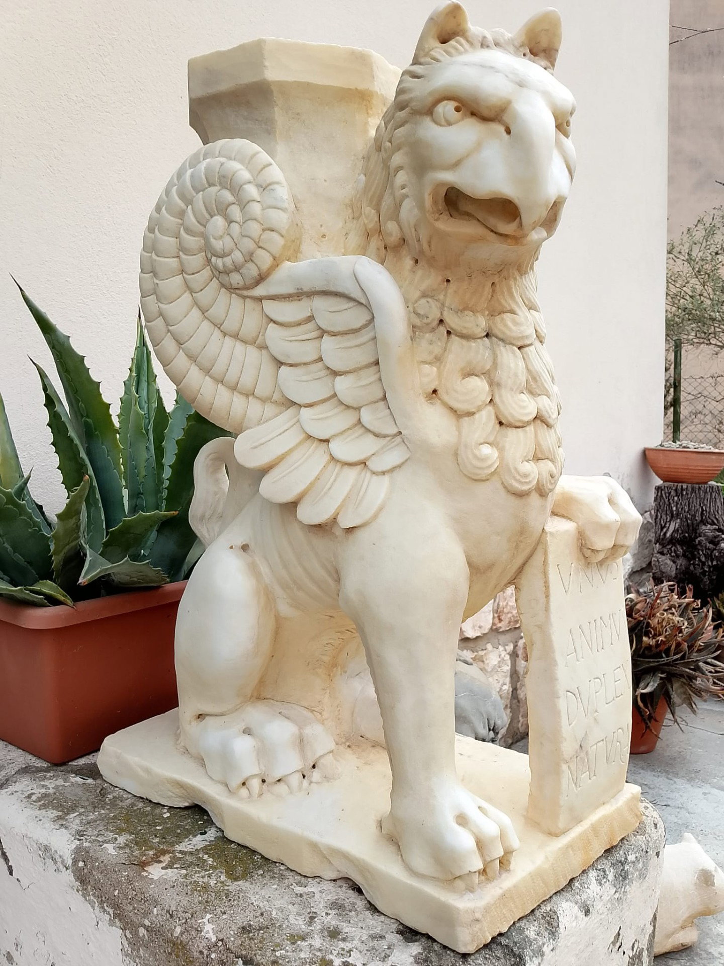 Magnifica scultura in marmo - Grifone - H circa 100 cm